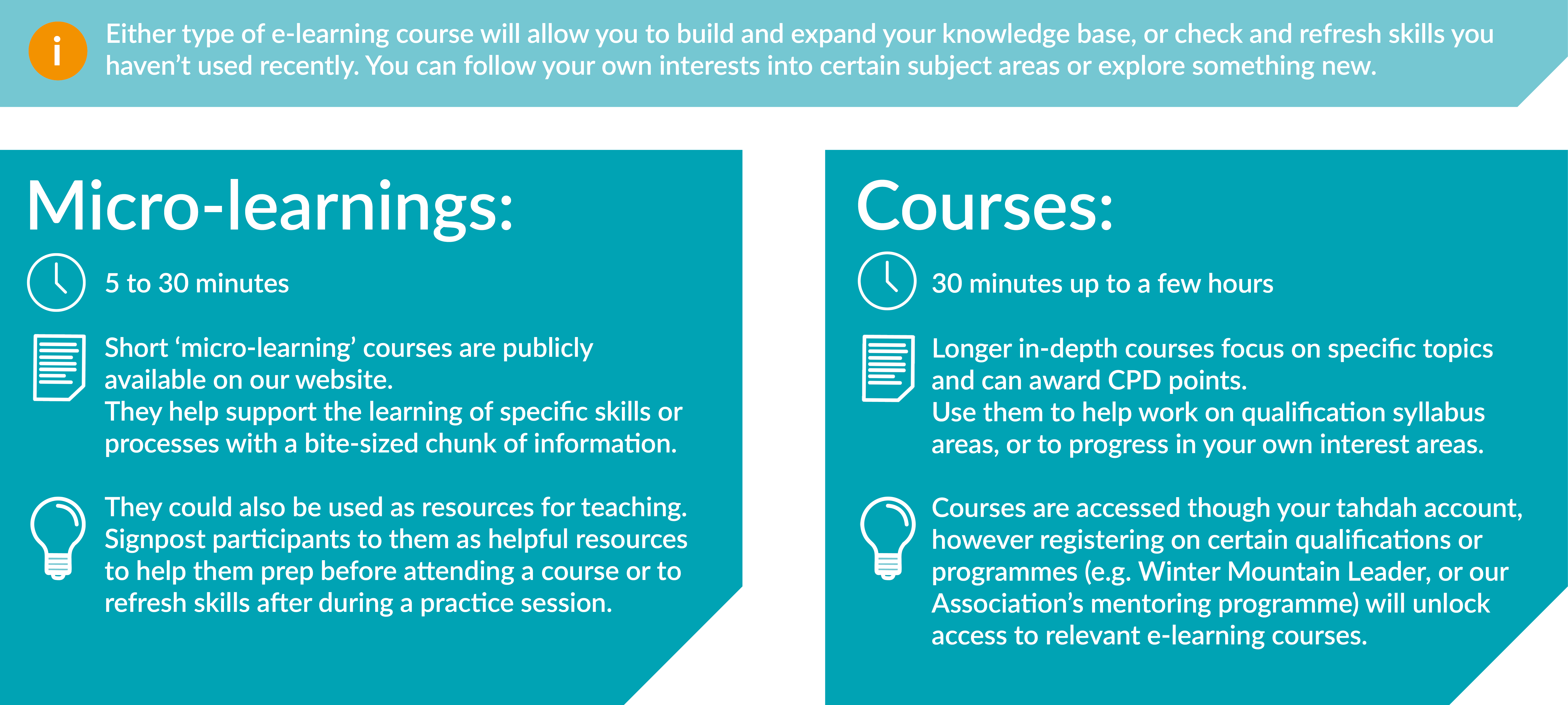 Header Graphic Final