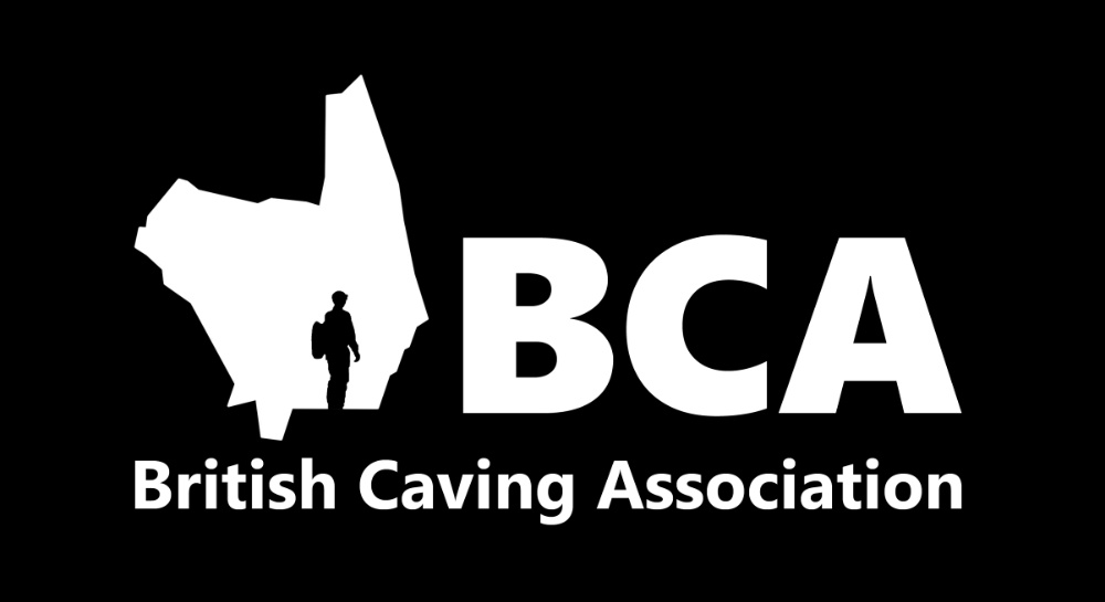 Bca Logo Std Black 1 Resized