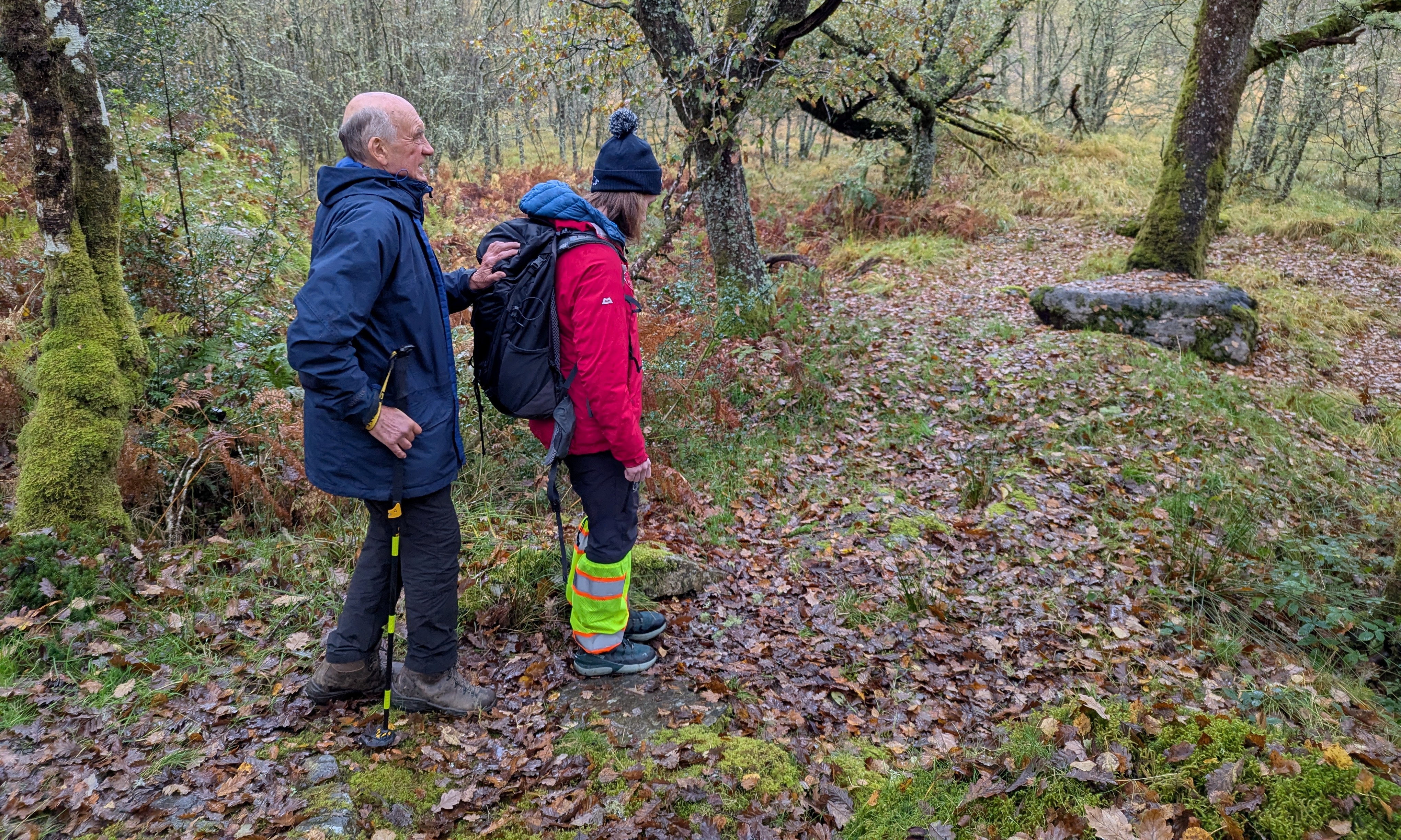 Disability Survey News Header Resized